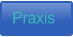 Praxis