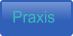 Praxis